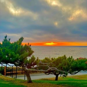 Meet your Posher, Kealy